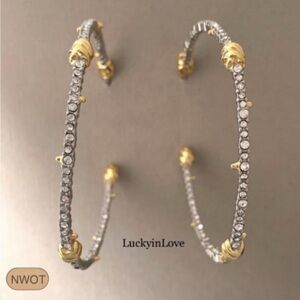 ALEXIS BITTAR • Silver Hoops Gold Knotted Crystal Post Lightweight Earrings
